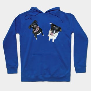 Happy Dog Friends Hoodie